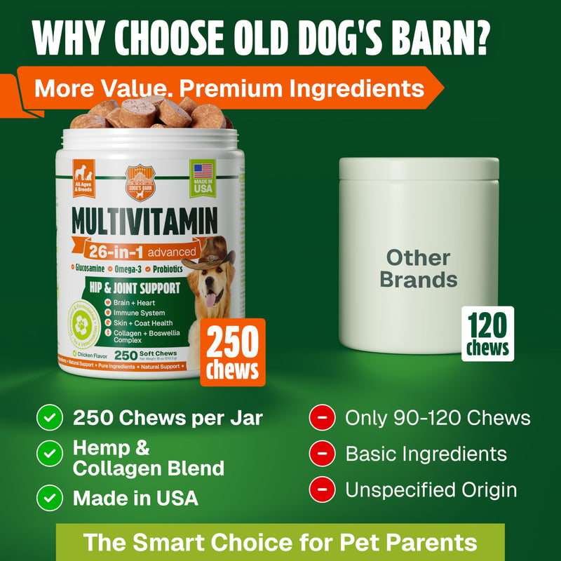 Dog Vitamins and Supplements 250 Chews - 26 in 1 Dog Multivitamin Soft Chews with Glucosamine, Chondroitin, Probiotics, Omega 3 - Hip & Joint, Skin & Coat, Immune Support - Chicken Flavor