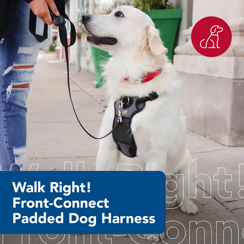 Coastal Pet Walk Right Front-Connect No-Pull Padded Dog Harness - Adjustable Dog Harness - Small & Large Dog Harness - Comfortable Harness for Dogs - Quality Dog Supplies - Black, LRG (26"-38") Large - 24"-38" girth - BeesActive Australia