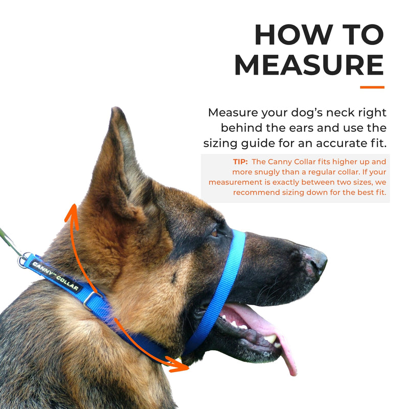 Canny Collar No-Pull Dog Collar - The Kind, Gentle Head Collar for Dogs| Dog Training Tool for Easier Dog Walking | Red - Size 6 Size 6 - 48-53cm (19"-21") - BeesActive Australia