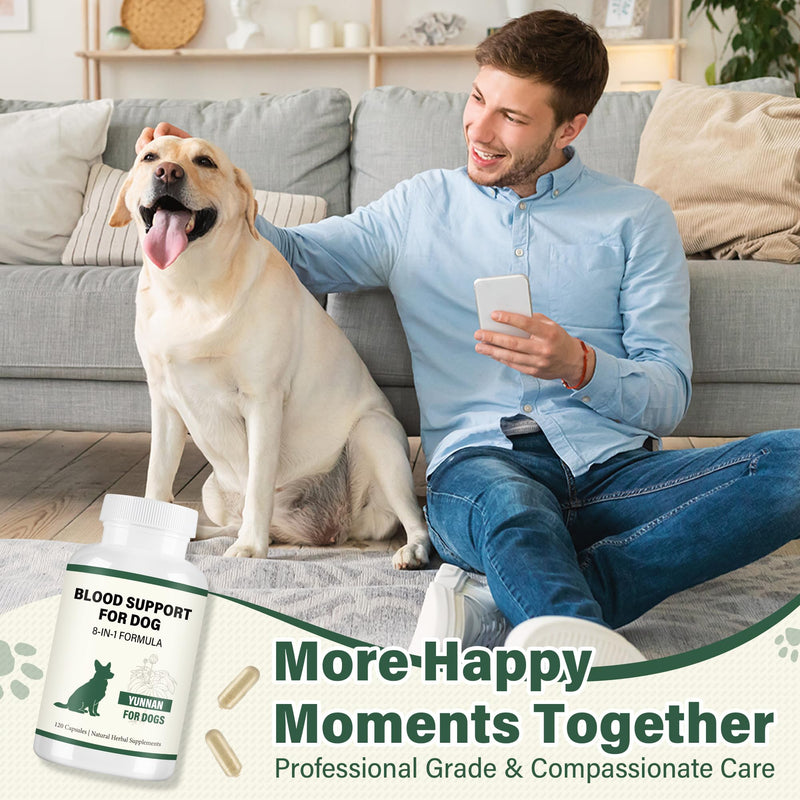 Yunnan Sanqi Herbal Capsules for Dogs – Daily Circulation & Vitality Support, 120 Capsules