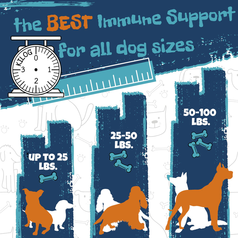 Plates Scratch-Stop Calming Chews for Dogs with Allergies and Itchy Skin, Essential Dog Allergy Relief and Vitamins Supplement for Immune Support, Omega-3, and Gut Health, Seasonal Allergies - BeesActive Australia