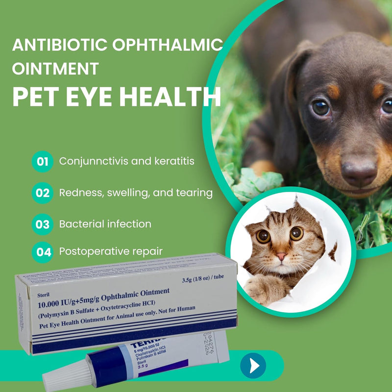 Pet Eye Health Ointment for Dogs, Cats, Cattle, Sheep, Horses, Birds and Puppies, Kittens 1/8 oz /3.5gr - 1 Tube - BeesActive Australia