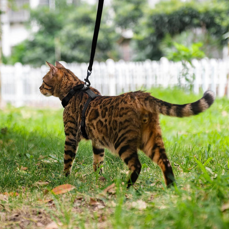 Cat Harness and Leash Set Escape Proof for Walking, Adjustable Cute Kitten Harness Leash with Airtag Holder for Small Large Cats, Lightweight Soft Walking Travel Harness (Black) Black - BeesActive Australia