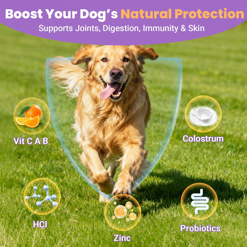 Dog Multivitamin 25 in 1 Dogs Vitamins Supplements Treats Chewable for Pet Omega-3 Glucosamine Vitamin for Puppy Supplies Skin Coat, Heart, Hips & Joints, Digestion & Immune System 100pcs
