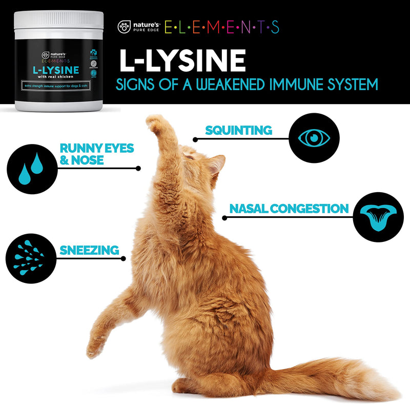 L-Lysine Powder for Cats and Kittens, Chicken Flavored Lysine Supplement for Cats and Kittens and Dogs to Support Immune Health, Normal Eye Function and Respiratory Health, Extra Large 125 Grams.