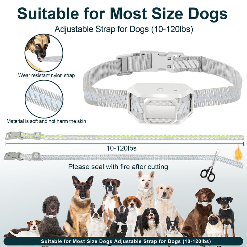 Citronella Bark Collar [No Spray Refill] Spray Dog Training Collar, Safer Citronella Dog Bark Collars, Humane Spray Bark for L/M/S Dogs IP65 Waterproof Dog Spray Bark Collar (Grey) Grey - BeesActive Australia