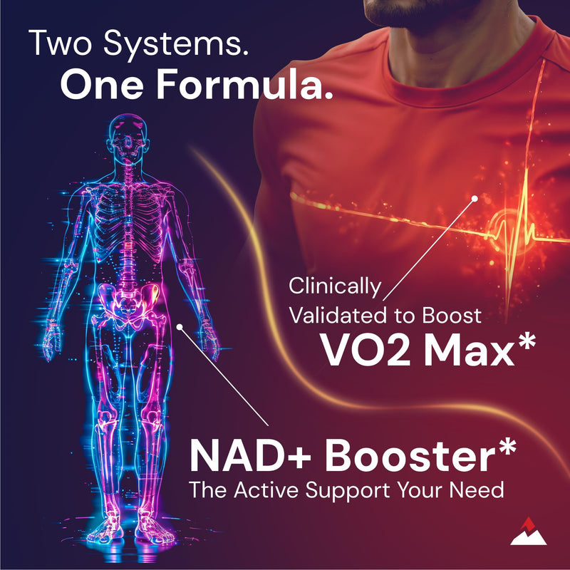 Novex Biotech Oxydrene | NAD+ Support | Vo2 Max Boost | Energy + Endurance 60 Count (Pack of 1)