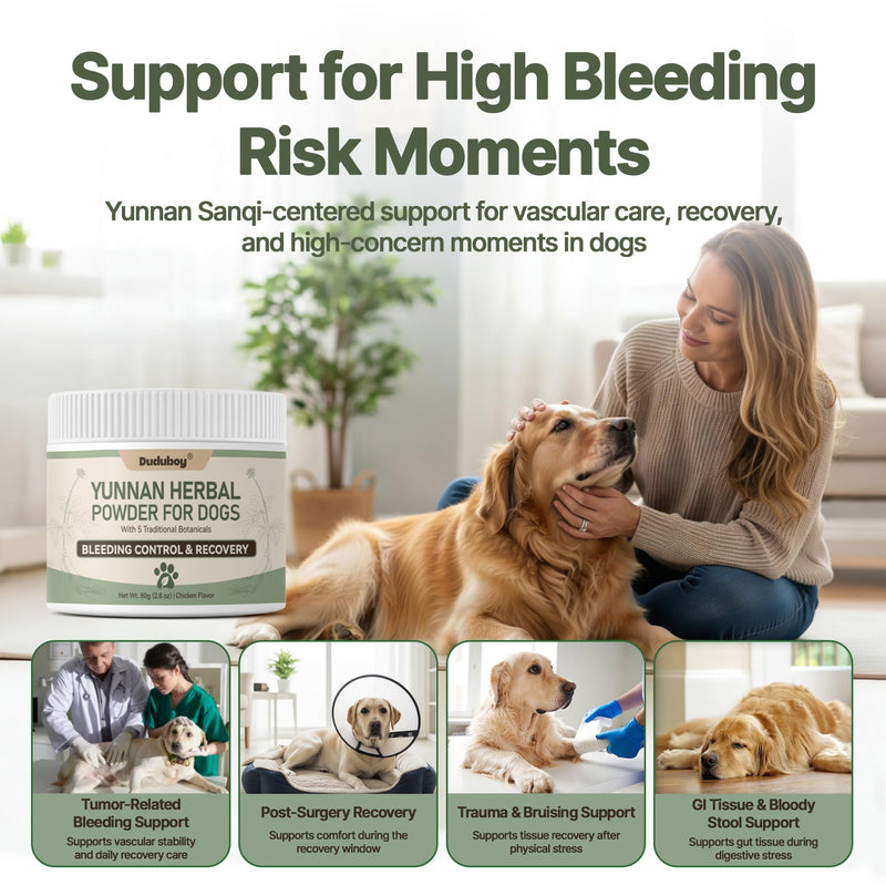 Yunnan Sanqi Powder for Dogs, Natural Herbal Blood Support for Hemangiosarcoma, Hemoabdomen, Pericardial Effusion, Ulcer-Related Bleeding, Bloody Stools, Recovery Support, Quick Stop Bleeding for Dog