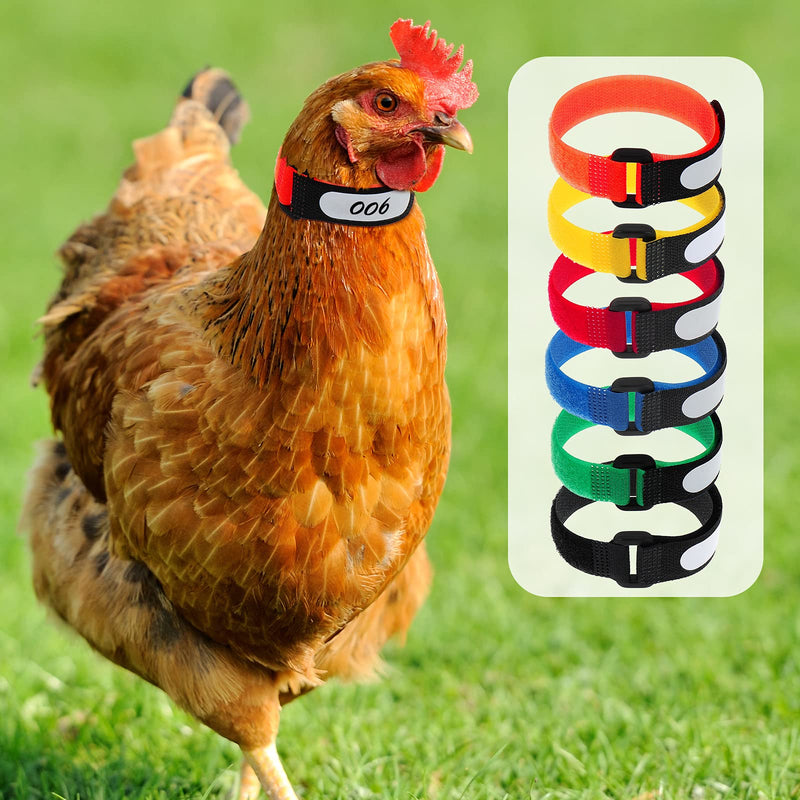 Shappy 48 Pieces Large Rooster Collar Crow Collar with Blank Label Anti Crow Noise Neck Belt Nylon Rooster Collar for Roosters Cockerel, Prevent Chicken from Screaming or Disturbing Neighbors