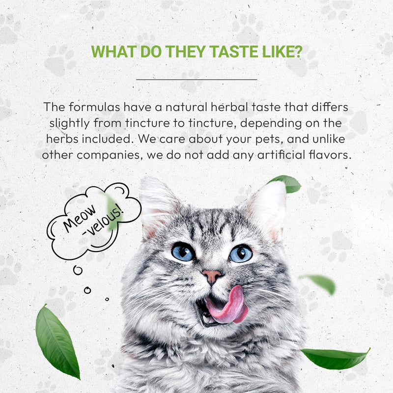 Lion's Kidney | Natural Herbal Dietary Supplement for Cats | Healthy Kidney Function Support in Cats | Alcohol-Free Extract, Dandelion Root, Calendula, Linden, Chamomile, Fennel 2 oz