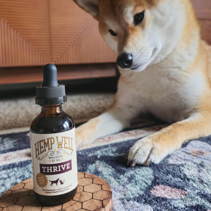 Hemp Well Thrive Oil for Dogs & Cats, Organic Hemp Oil, Omega 3 & 6 Supplement for Skin & Coat, Hip & Joint, Heart & Immune Support, 2 oz 2 Ounce