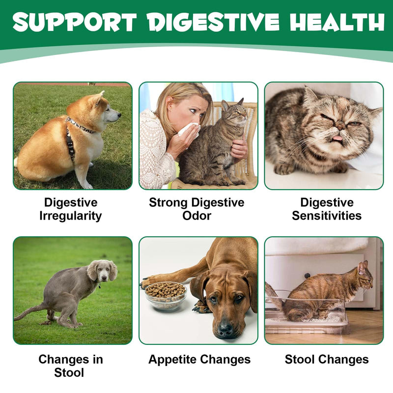Activated Charcoal Gel for Dogs & Cats 60ml - Digestive Comfort Support, Reduce Digestive Odors