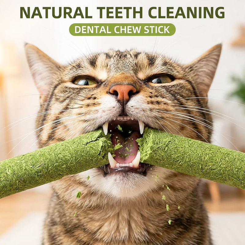 90g/3.17oz Cats Treat Cat Grass Teething Stick Kitten Toy Catnip Toys for Hairball Removal Freeze Dried Chew Dental Food for Indoor Kitty Lickable Edible Snack for Eliminate Fur Digestion Chicken 90g/3.17oz