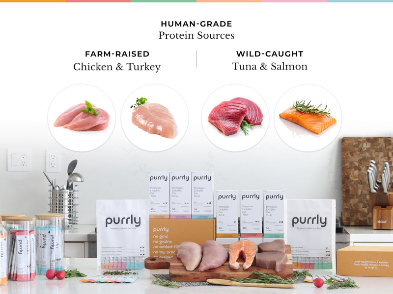 Purrly Hydrating Wet Cat Treat Snack Topper Creamy Purée Human-Grade Chicken Breast & Salmon with Omega-3 & 6 for Skin & Coat (30 Count) Healthy Lickable Squeeze Soft Snack - BeesActive Australia