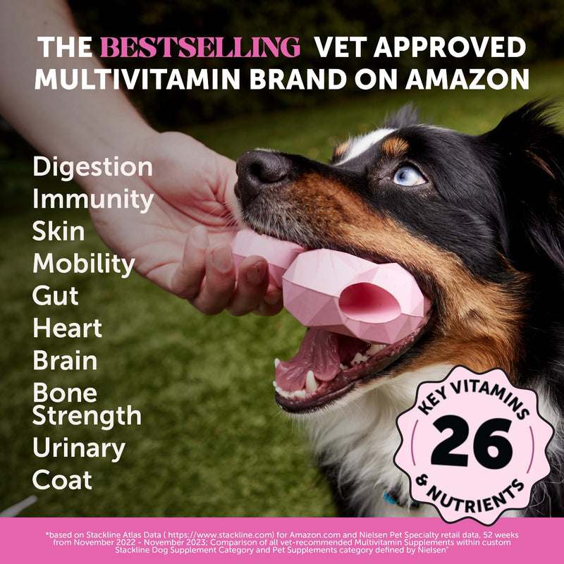 10-in-1 Dog Multivitamin Supplement with Glucosamine & Probiotics - Hip & Joint Support, Digestive Health, Immune Support, Heart & Skin - All-in-One Daily Vitamins & Omega-3s for Dogs (Chicken 180 Ct) Chicken 180ct