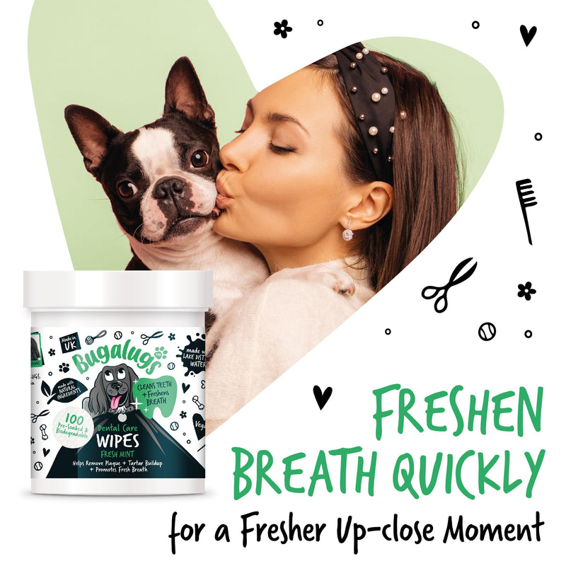 Bugalugs Breath Freshener - Plaque & Tartar Remover Wipes (No Toothbrush/Toothpaste Needed, 100 Wipes) 1 count (Pack of 100)