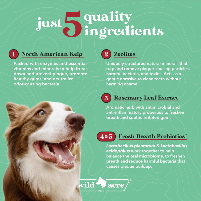 Dental Powder for Dogs - Dog Breath Freshener Dental Powder for Teeth Cleaning Plaque Off, Dental Care for Dogs, Tartar Remover for Teeth - Fresh Breath Probiotics - PawsPlanet Australia