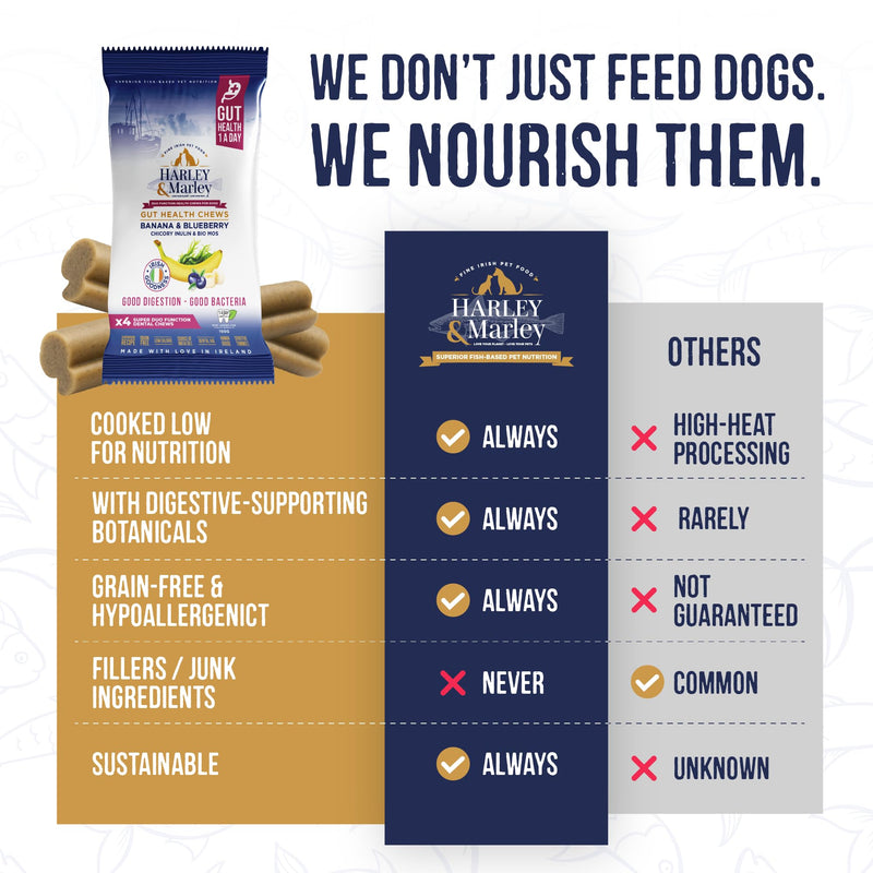 Harley & Marley Gut Duo Function Health Chews for Dogs - Dog Digestive Supplements with Fibre, Prebiotics & Biotics - Banana & Blueberry Recipe - Supports Teeth & Gums - 1pk (4/pk) Pack of 1