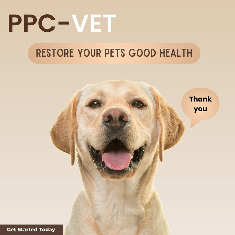 PPC-Vet Polyunsaturated Phosphatidylcholine Liver and Brain Health Supplement for All Sized Cats and Dogs 1000mg PPC / 5mL - Liposomal Liquid 8 oz - PawsPlanet Australia