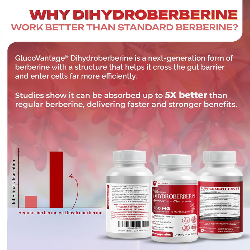 Dihydroberberine - GlucoVantage - Super Berberine 760 MG with Cinnamon Gymnema Fenugreek - Maximum Absorption - Support Gut Health, Metabolism - Non GMO, Gluten Free - Made & Tested in the USA 150 count (pack of 1)