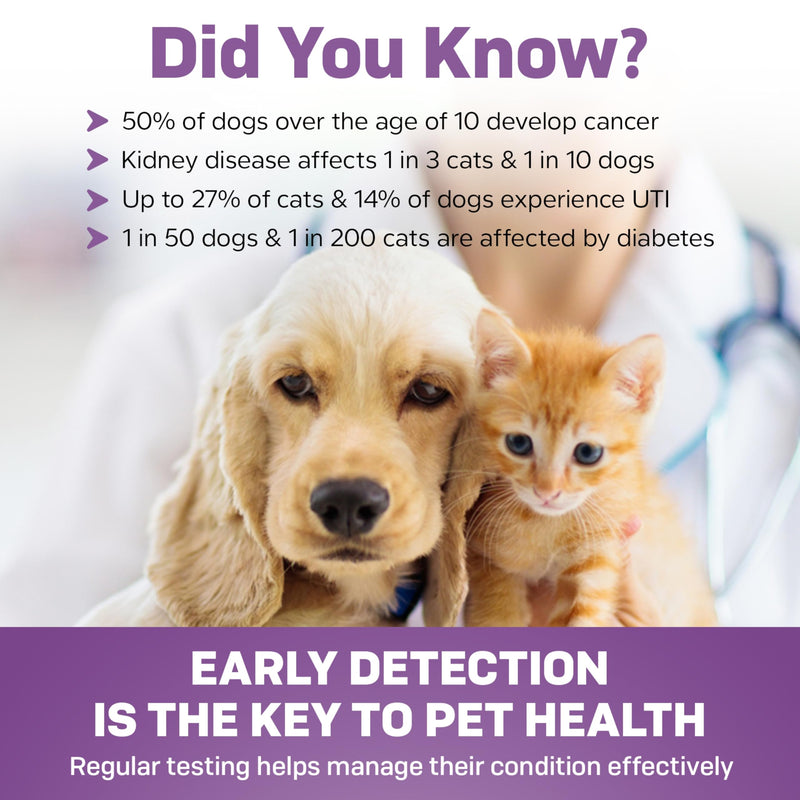 One Step Pet Urine Testing Strips, 5 x 10 Parameter Urinalysis Test Strips, Urine pH Test Strips for Dogs, Cats, Accurate Testing for UTI, Bladder & More, Pet Glucose Monitoring Kit
