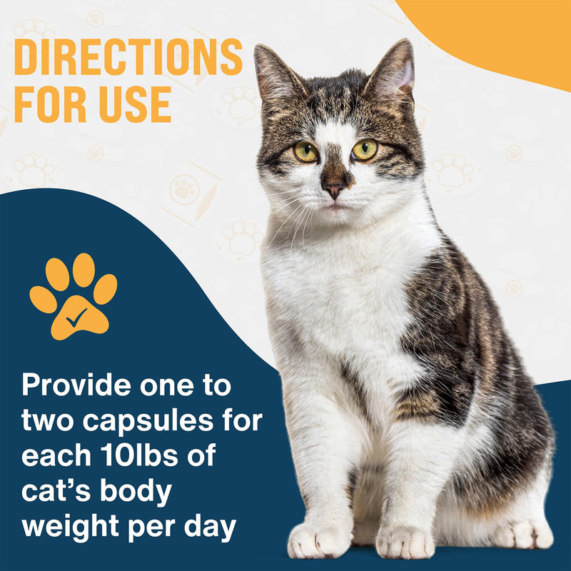 Kitty Cat Select - 10mg HMR lignan Capsules