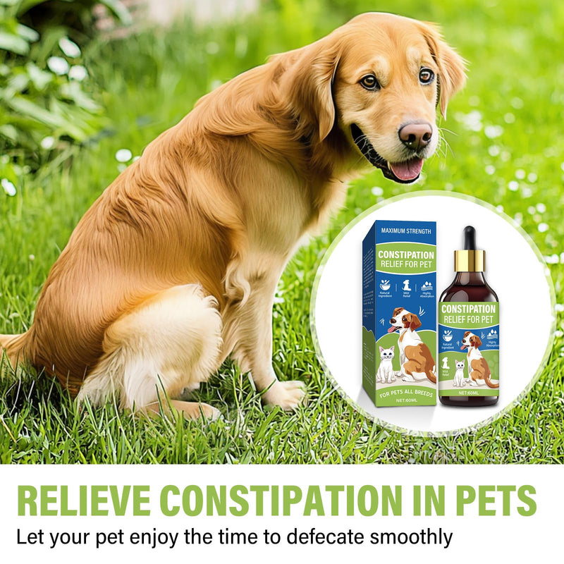 Cat Constipation Relief,Constipation Relief for Dogs & Cats - Cat Laxative - Cat Stool Softeners for Digestive Health - 100% Natural Gentle Supplement - 60ml - BeesActive Australia
