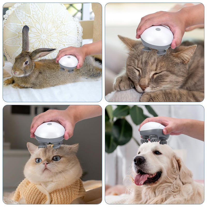 Upgraded Handheld Pet Massager for Dogs and Cats, Electric Cat Massager Dog Massager, with 4 Rotatable Massage Heads, Three Modes, for Relieving Tight Stiffness Muscles, Promote Bonding White - BeesActive Australia