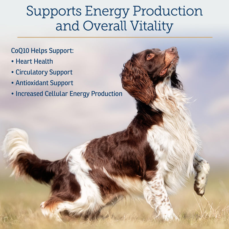 Rx Vitamins CoQ1030 - Coenzyme Q10 for Dogs & Cats - 30ct | 100% Pure Ubiquinone Cat & Dog Heart Supplements - Promotes Cardiovascular Function and Antioxidant Support
