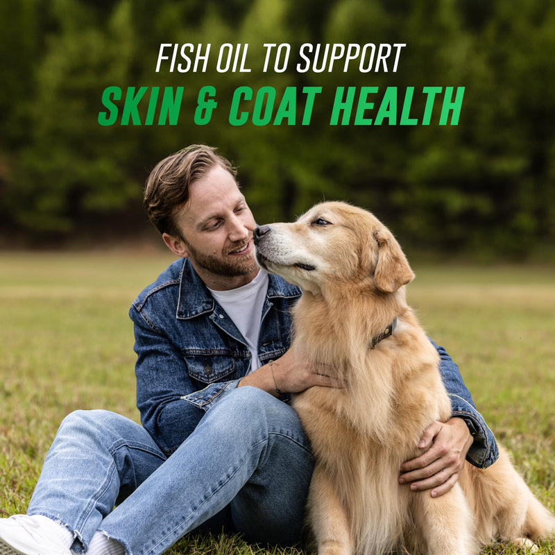 Nutramax Welactin Omega 3 Fish Oil for Dogs, Skin and Coat Health Supplement, Plus Joint, Immune, Kidney, and Brain Support, Premium Omega 3 Fatty Acids, For Dogs, 16 Ounce Liquid 16 oz (480 mL)
