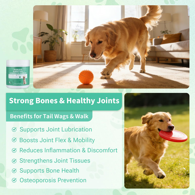 Dog Hip and Joint Supplement, Dog Soft Chews Treats with Glucosamine Chondroitin Omega 3 Collagen Supports Dogs Joint Skin and Coat Immune Health, Pet Vitamins Supplements for Small Medium Dog Breeds