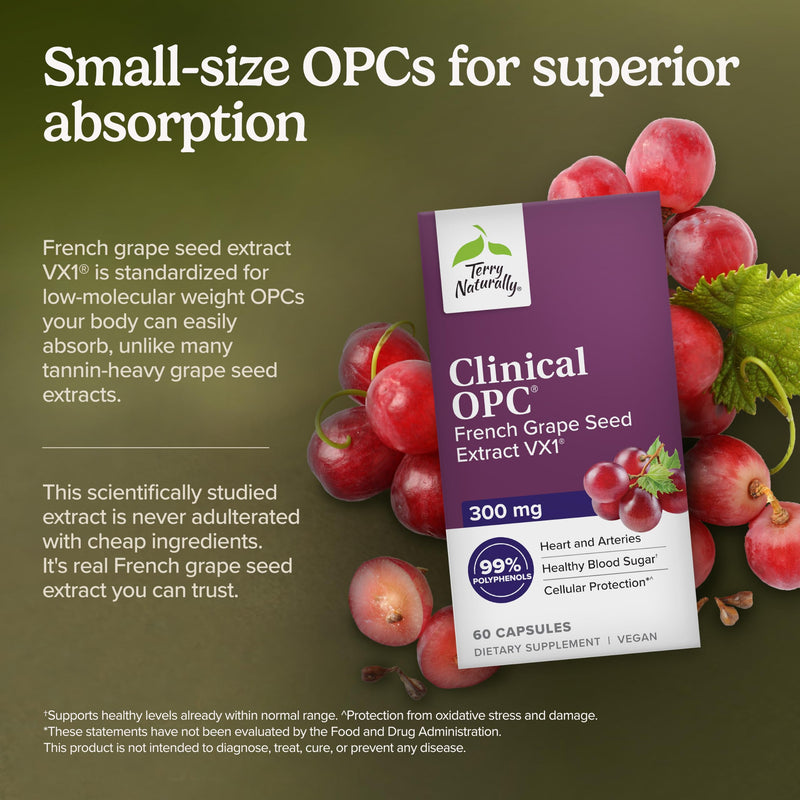 Terry Naturally Clinical OPC 300mg - Heart & Immune Support - 60 Count | French Grape Seed VX1, Clinical OPC. Cardiovascular, Immune and Cellular Health Support. 60 softgels. 60 Count (Pack of 1)