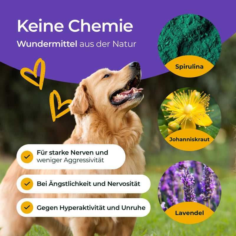 Hundpur Nerves 300 g - Pellets for dogs against stress and anxiety - with St. John's wort, lavender and magnesium - strengthening the dog's nerves - Made in Germany - BeesActive Australia