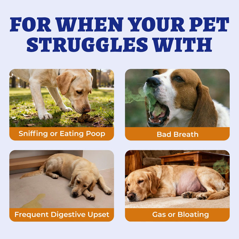 Wellix 260g No Poo Chews for Dogs - Stool Eating Deterrent for Dogs Coprophagia Relief with Probiotics Digestive & Gut Health - Support Breath Freshener & Immune System, Chicken & Pumpkin Flavor