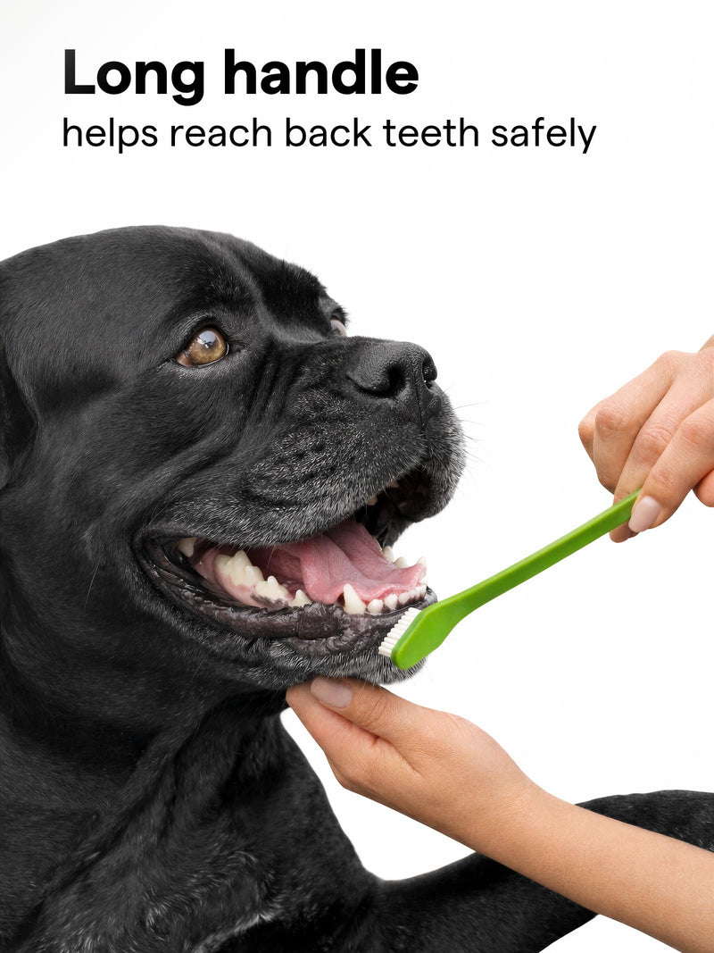 Pet Grooming Tool Bundle Set: Pet Nail Clippers [Tool #5] + Pet Toothbrush Set [Tool #2] - BeesActive Australia