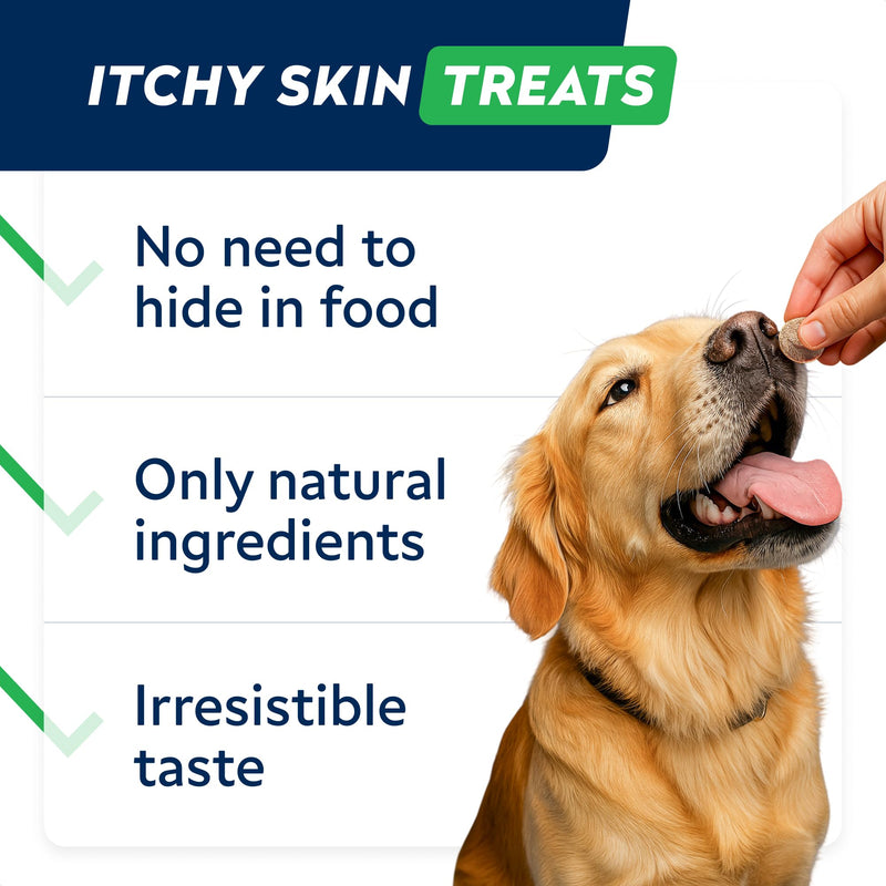 STRELLALAB Allergy Support Chews for Dogs with Omega 3 Fish Oil - Itchy Skin Support Immune Supplement - Skin & Coat Health - Made in UK - Stop Itch & Hot Spots - Pork Flavor - 60ct 60 Soft Chews
