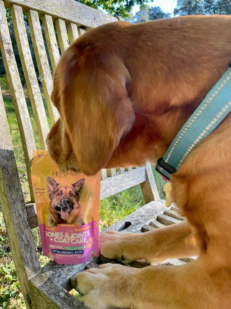 Premium Dog Collagen Supplement with Hyaluronic Acid, Glucosamine, and Vitamin C – Supports Joint Health and Mobility. Food topper suitable for dogs Made in UK.