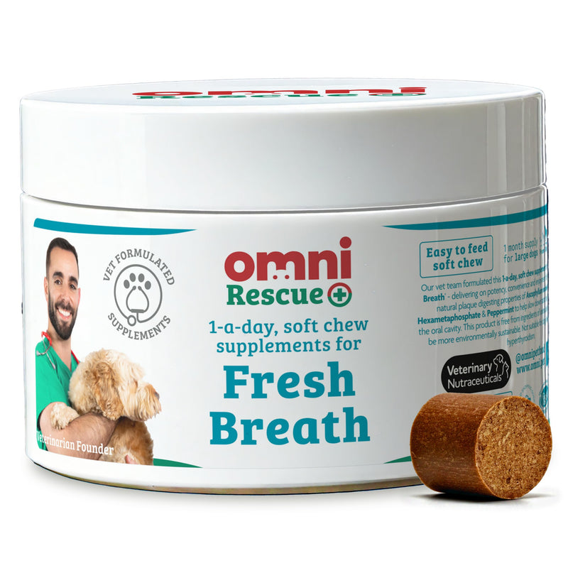 Omni Dog Breath Freshener Supplement - Dragons’ Den Winners, One-a-Day Peppermint Supplements for Dogs, Plaque Remover Dental Care, Fresh Breath for Dogs, 30 Servings, Small 0-15 Kg Small Dog (0-15kg)