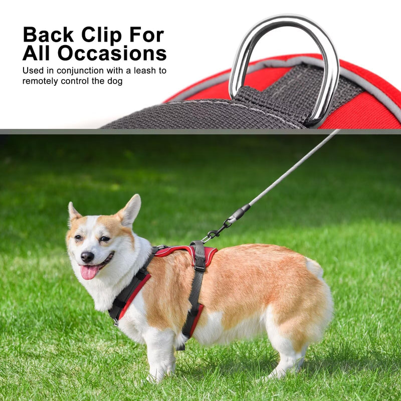 Beirui No Pull Dog Harness, No Choke Front Clip Dog Harness for Large Dogs, Adjustable Soft Padded Dog Vest harness with Easy Control Handle and Reflective Strips for Medium Dog Easy Walking(Red,L) - BeesActive Australia