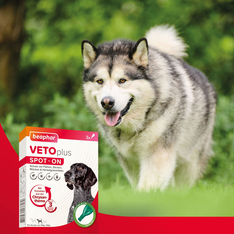 BEAPHAR - VETOplus Spot-ON for dogs between 15-30kg - Repellent against fleas, ticks, mosquitoes and autumn grass mites - Immediate effect - Protects up to 12 weeks - 3 pipettes 2ml each for medium-sized dogs - BeesActive Australia