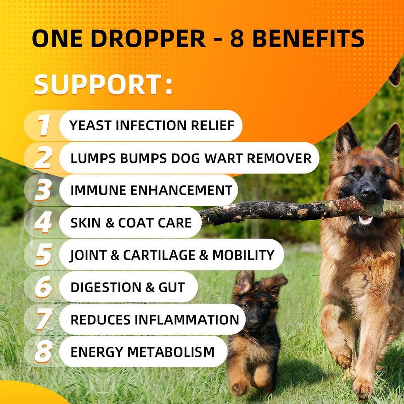 Turkey Tail Mushroom for Dogs Liquid 3000mg High Potency Blend Vitamins | Boost Immune, Energy Support, Skin Lump Support, Vet-Formulated, Daily Wellness, Turmeric & Probiotic, 100ml Roasted Chicken