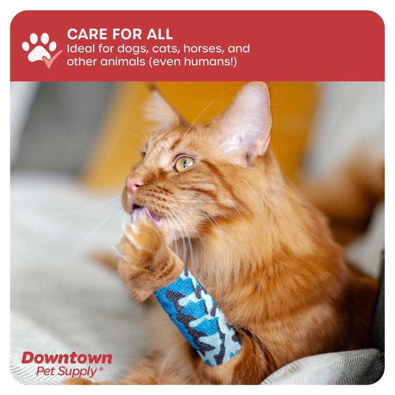Cohesive Vet Wrap for Dogs, Self Adhesive Bandages in Bulk, Pet Cat Wound Care, Gauss Bandage for Horses by Downtown Pet Supply (Rainbow Horse, 10 Pack) Rainbow Horse - BeesActive Australia