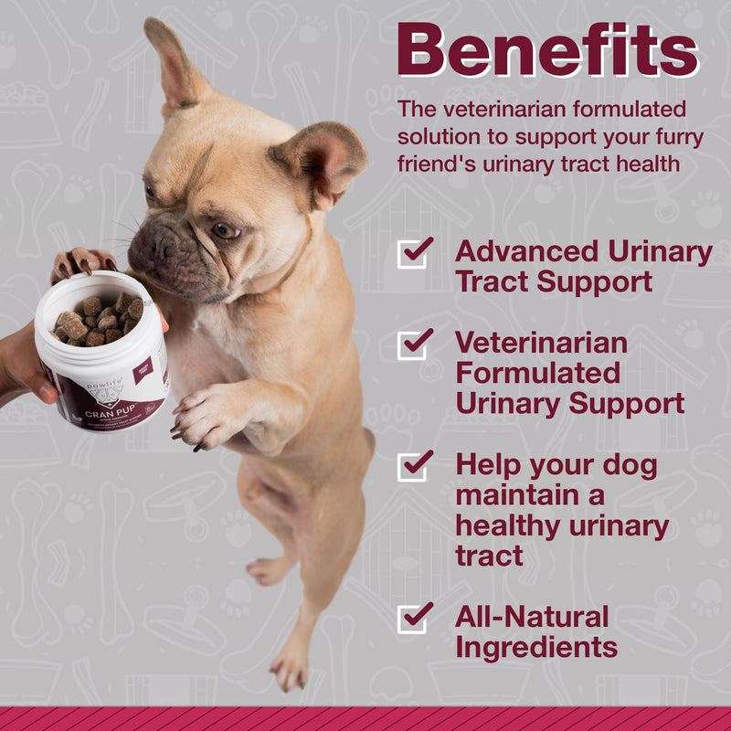 Cranberry Supplements for Dogs| Urinary Tract & Bladder Support| D Mannose & Antioxidants for Support| 120 Veterinarian Formulated Soft Chews| Up to 4-Month Supply Chicken 120 Count (Pack of 1)