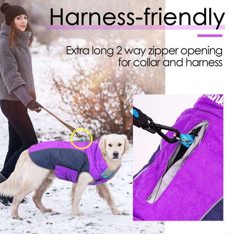 ThinkPet Dog Cold Weather Coats - Cozy Waterproof Windproof Reversible Winter Dog Jacket, Thick Padded Warm Coat Reflective Vest Clothes for Puppy Small Medium Large Dogs M(Chest 18¾-20", Back 12" ) Purple - BeesActive Australia