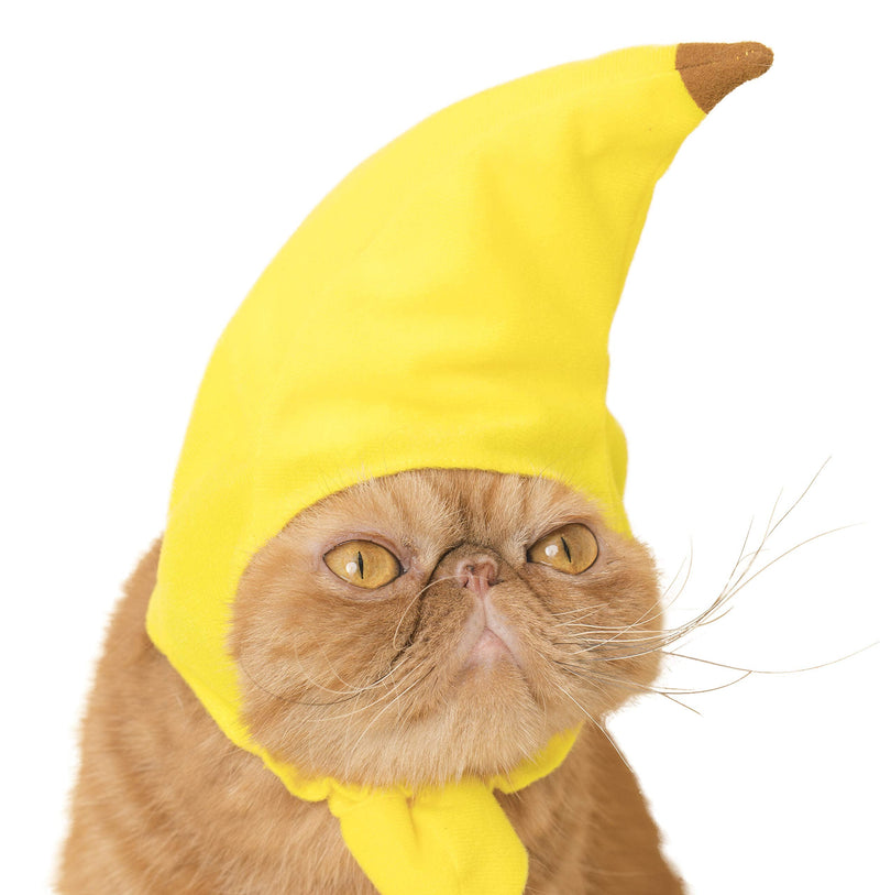 Kitan Club Cat Cap - Pet Hat Blind Box Includes 1 of 6 Cute Styles - Soft, Comfortable - Authentic Japanese Kawaii Design - Animal-Safe Materials, Premium Quality (Fruit) - BeesActive Australia