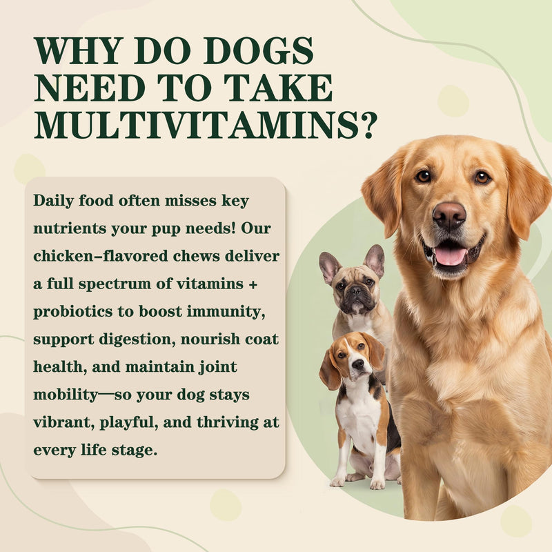 Dog Multivitamin Chewable - Vitamins and Supplements - Dog Daily Vitamin with Glucosamine Probiotics Omega-3 for Coat Hip Joint Heart Digestive Immune Health Support, Chicken Flavor, 120Ct 120 count