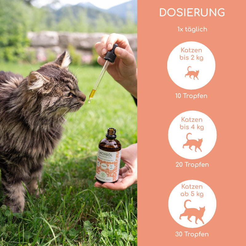 Salmon oil for cats with Omega 3 & 6 I 100ml Norwegian, natural salmon oil from Atlantic sea salmon I High-dose supplement for cats 100ml cat - BeesActive Australia