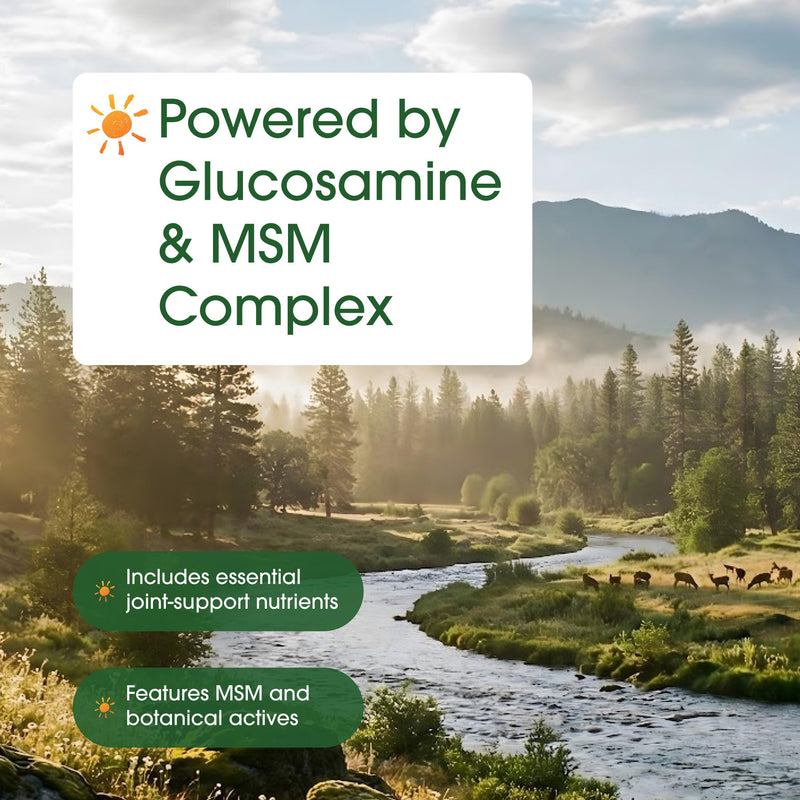 NatureBell Advanced Glucosamine Chondroitin & MSM, 240 Capsules