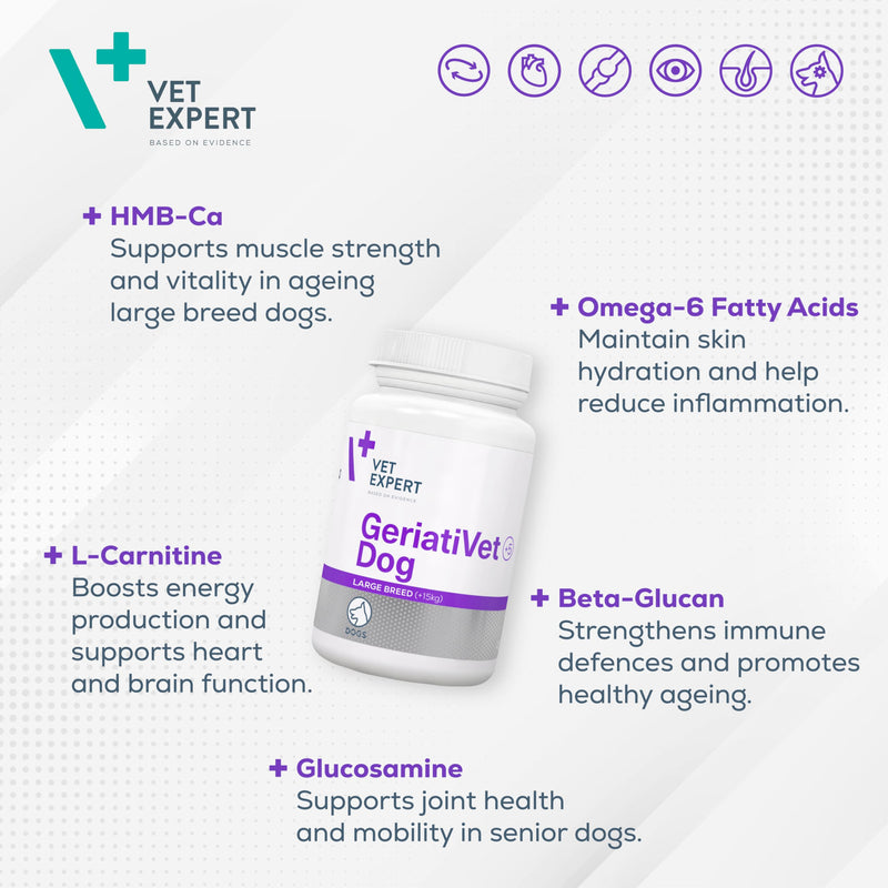 Vet Expert Geriativet Large Breed Senior Dog Supplement – Enhances Energy Metabolism, Joint Health, and Immune Function 45 capsules