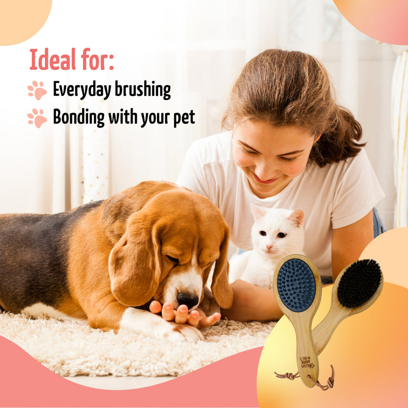 The Buddy System Combo Bristle Pet Brush, 2-in-1 Brush, Durable Rubber Side and Soft Boar Bristle Side - All Pets and Coat Lengths - Top Coat Massage for Cats & Dogs - 1 pack 1-pack Combo Brush - BeesActive Australia